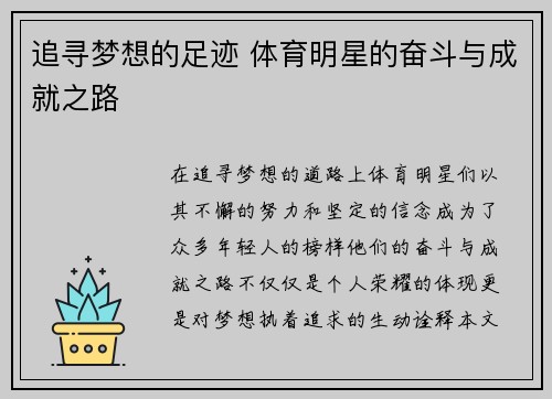 追寻梦想的足迹 体育明星的奋斗与成就之路